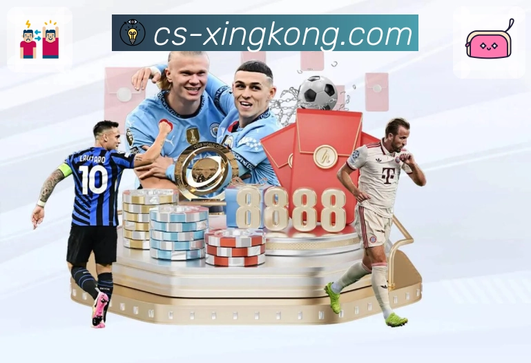 xingkong回访内容价值